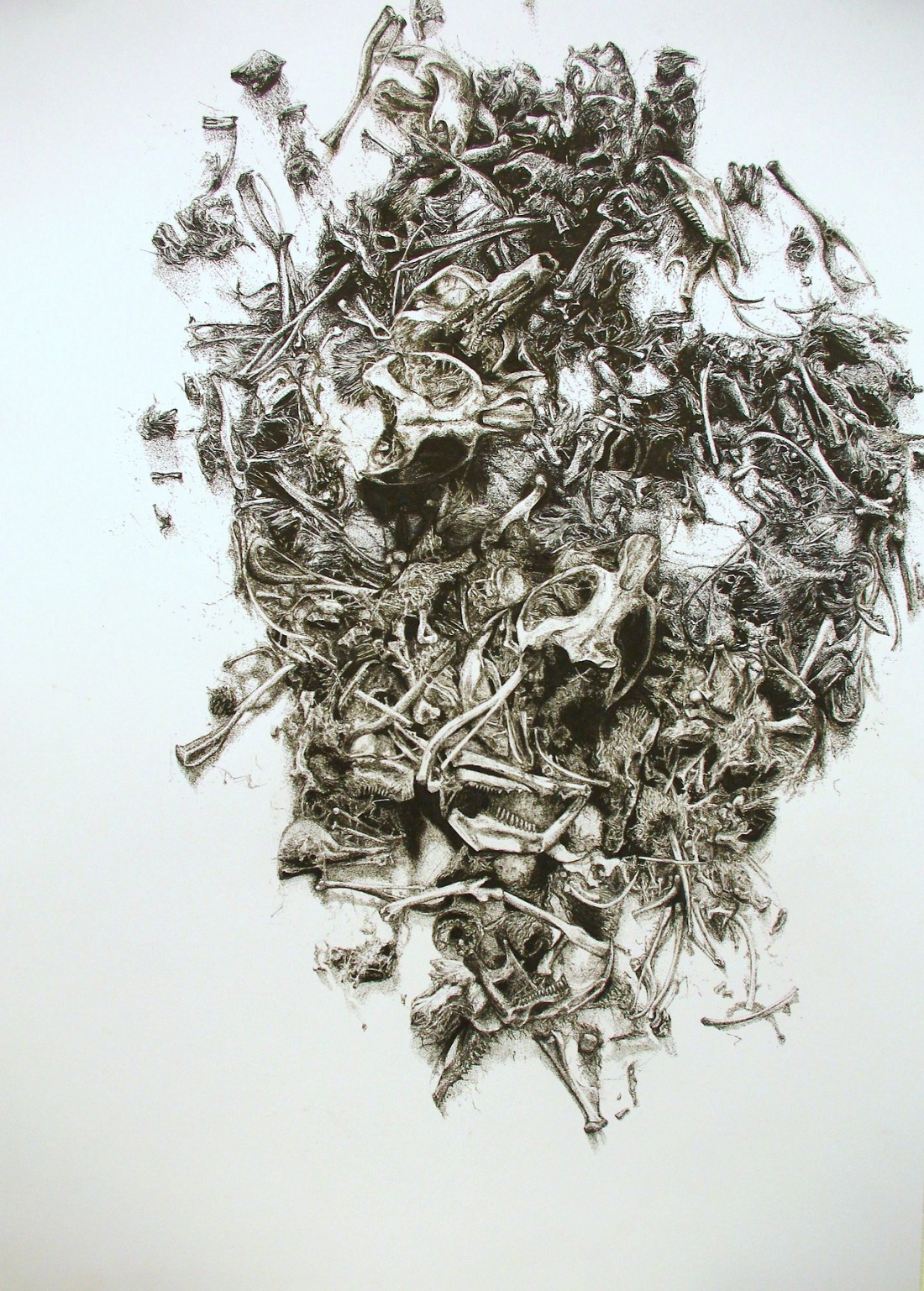 tumblr_mmt5l6zfTG1s4wbm8o2_1280